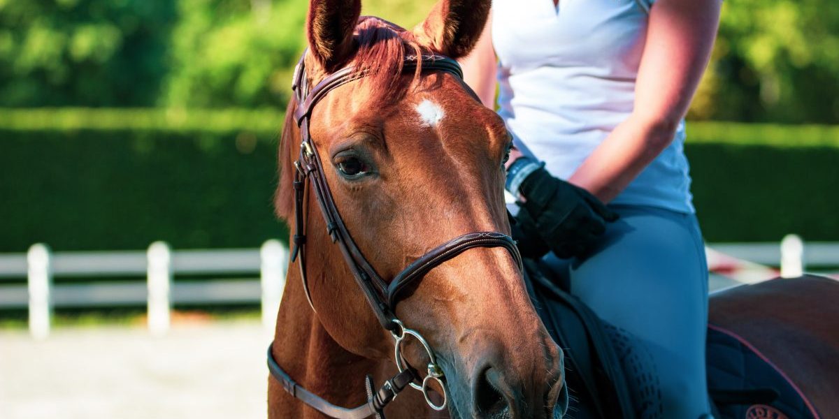 best horse riding in mallorca